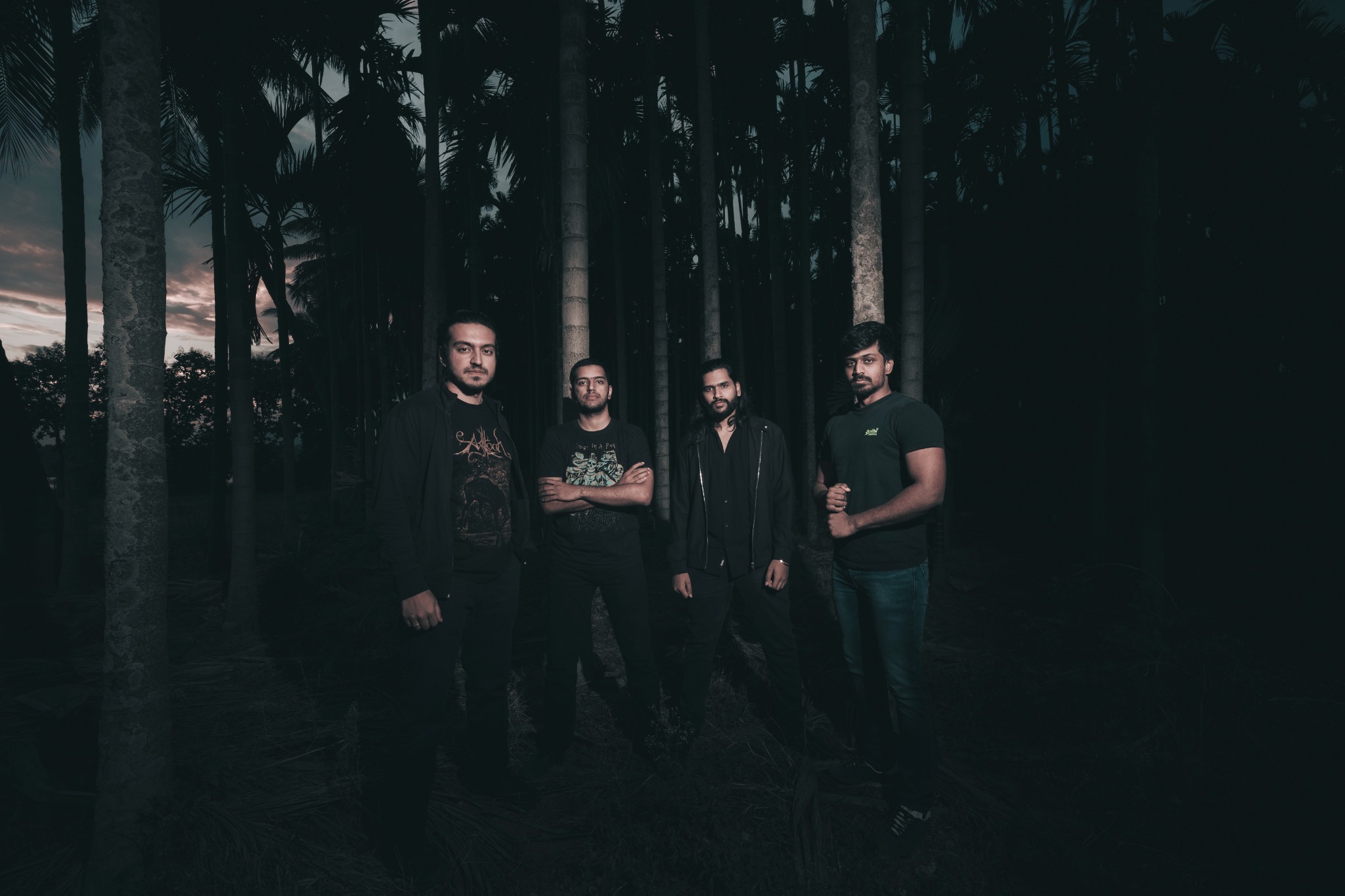 The four members of Fallen Letters standing among palm trees at dusk